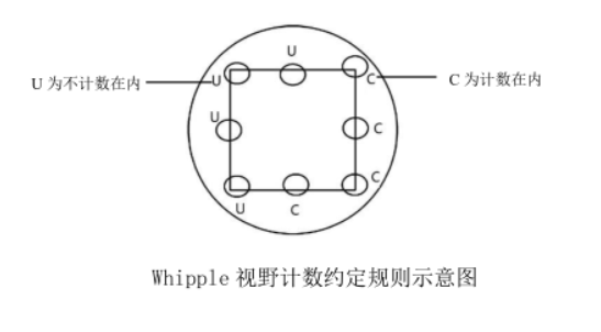 視野計數約定規則示意圖